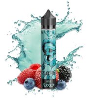 Revoltage - Aqua Berries Aroma