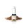 MAX Vape - Columbus Tapaa (SB) Liquid 10 ml
